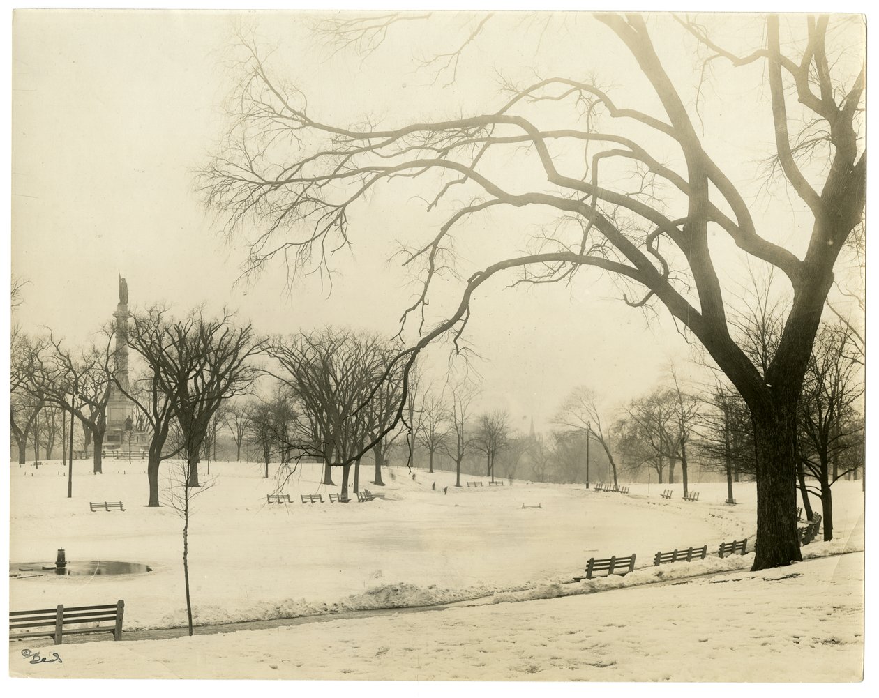 The Common, Boston, USA, ok.1902-10 (zdjęcie żelatynowo-srebrowe) autorstwa Jessie Tarbox Beals