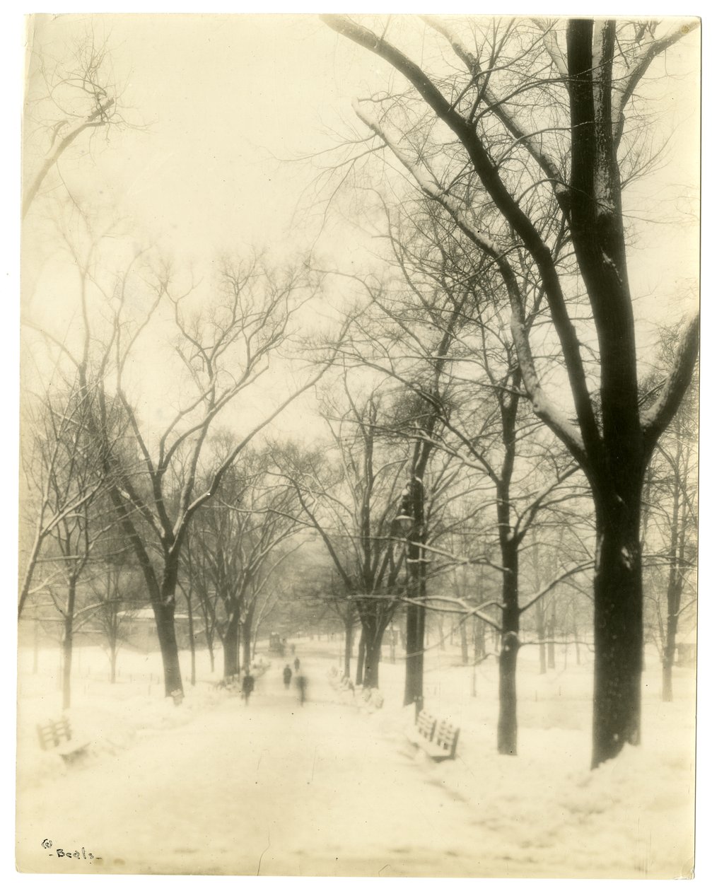 The Common, Boston, USA, ok.1902-10 (zdjęcie żelatynowo-srebrowe) autorstwa Jessie Tarbox Beals