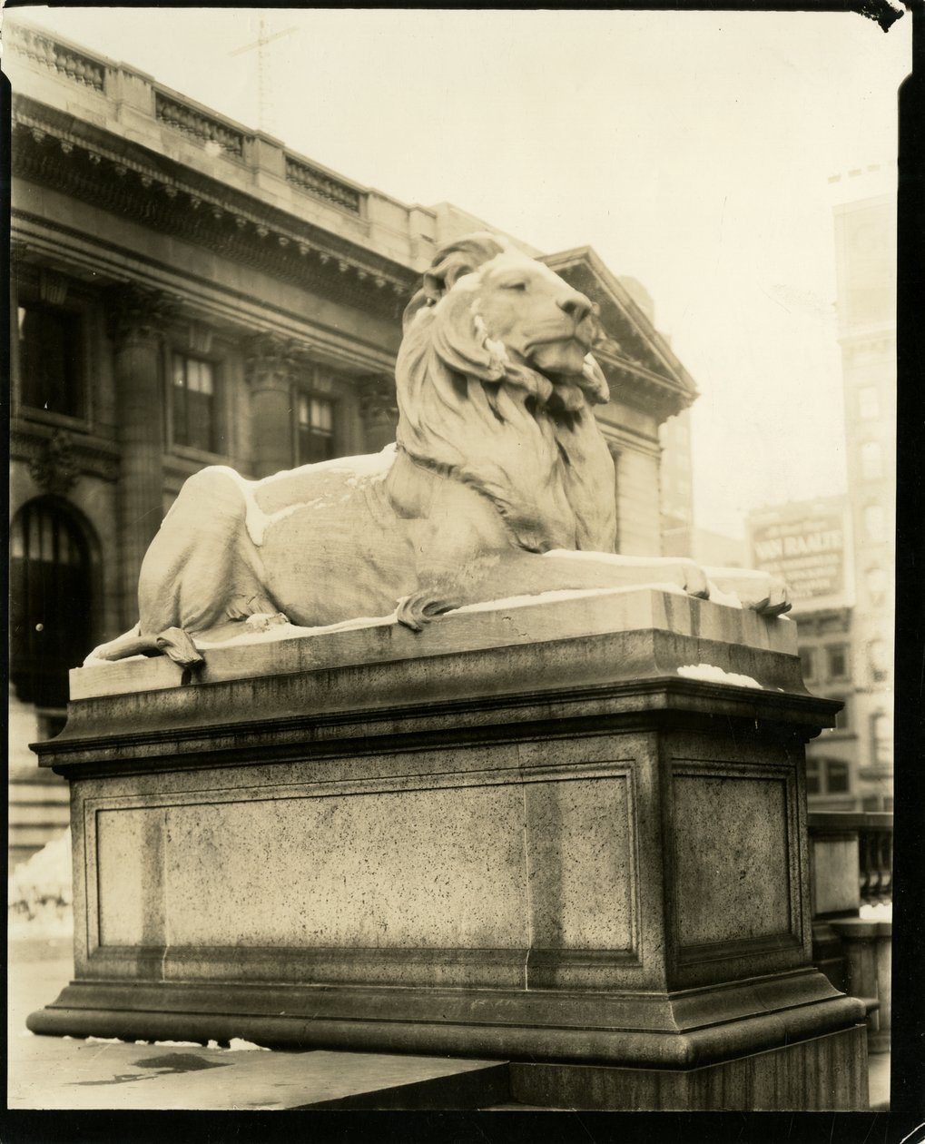 Wyniosły lew przed Biblioteką Rozumie Gertrude Steinish, Nowy Jork, USA, ok. 1905-40 (zdjęcie żelatynowo-srebrowe) autorstwa Jessie Tarbox Beals