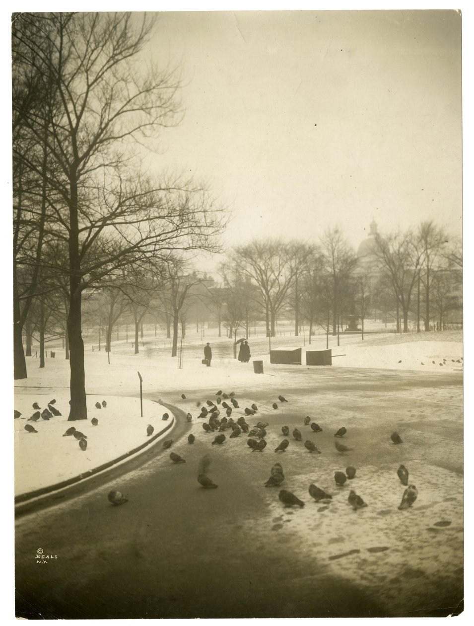 Niezwykle zimno w Common, Boston, USA, ok. 1902-10 (zdjęcie żelatynowo-srebrowe) autorstwa Jessie Tarbox Beals