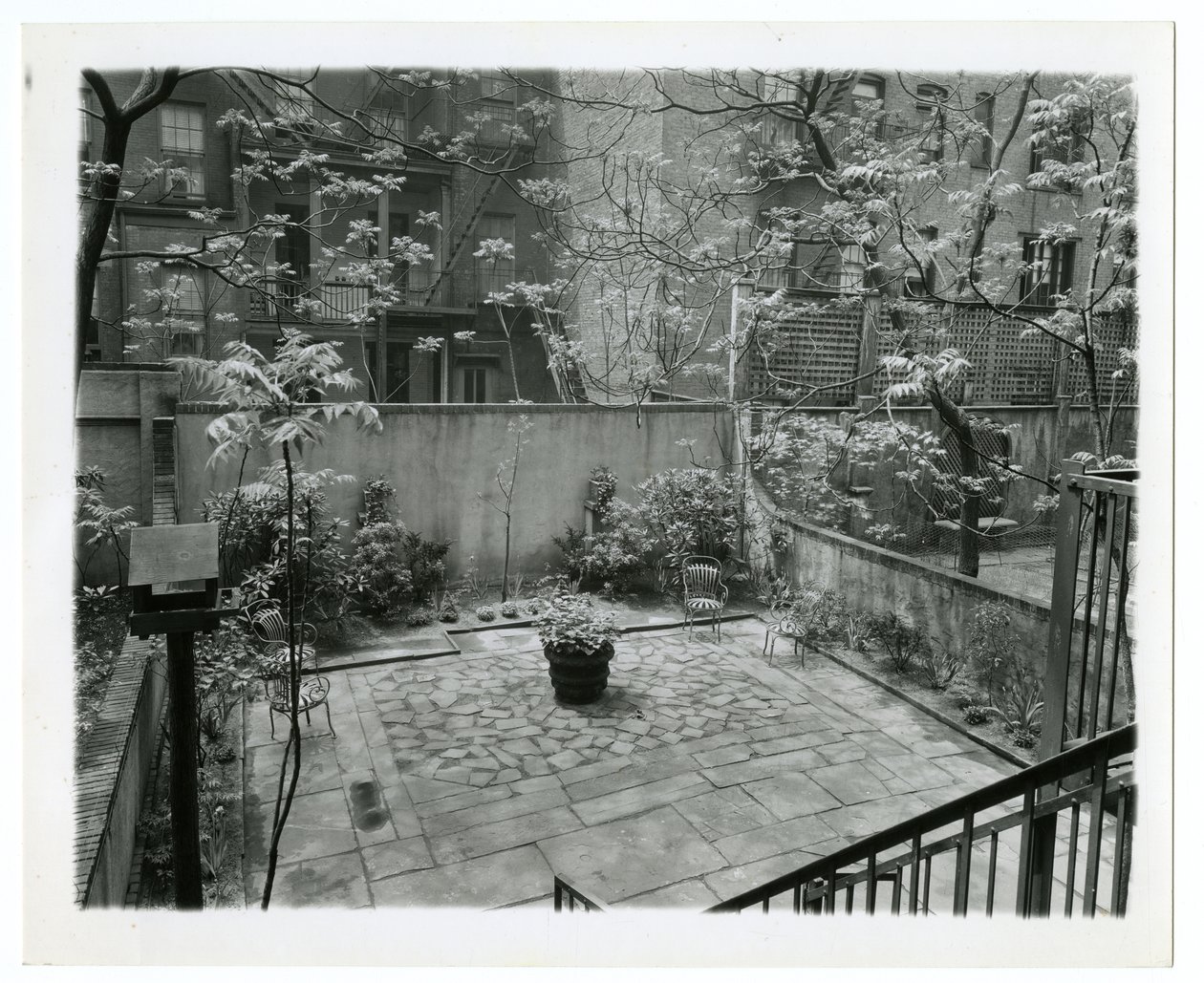 tylne patio z budką dla ptaków, Nowy Jork, USA, ok.1905-40 (zdjęcie żelatynowo-srebrowe) autorstwa Jessie Tarbox Beals