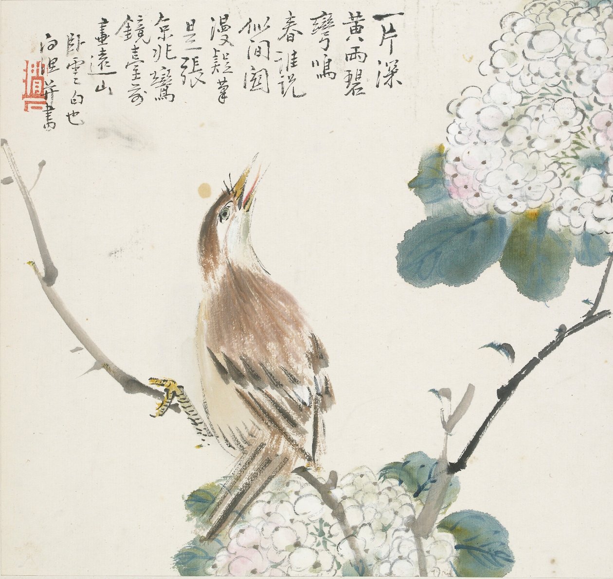 Chiński Hwamei, 1857 autorstwa Jin Yuan