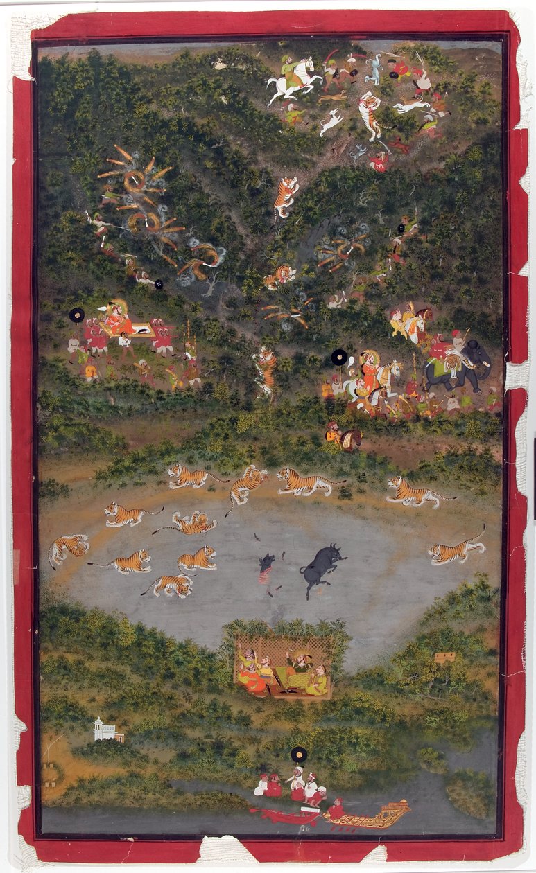 Tygrys myśliwski Maharana Jagat Singh II, 1749 (nieprzezroczysta toaleta i złoto na papierze) autorstwa Jiva