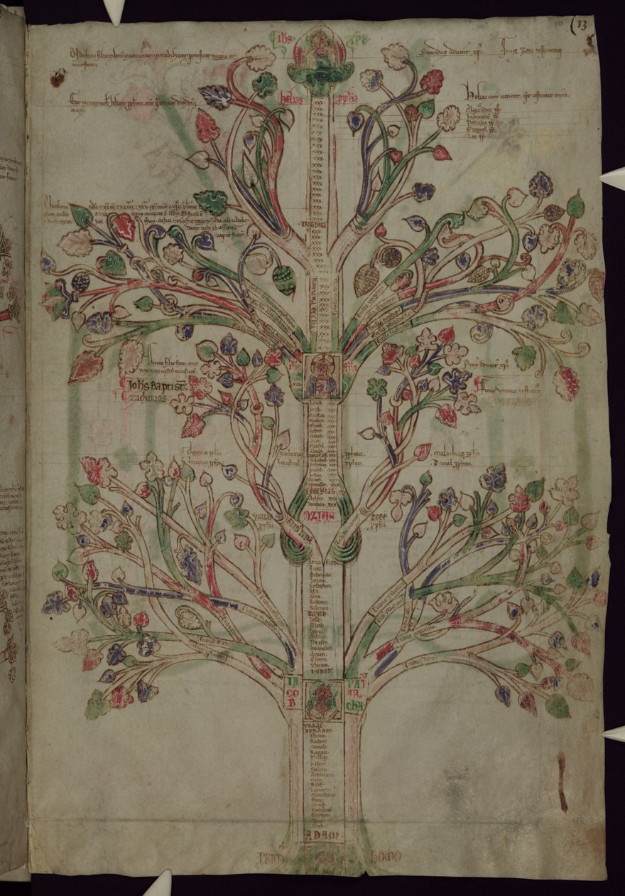 MS 255A fol.10r Drzewo życia, z Liber Figuarum autorstwa Joachim of Fiore