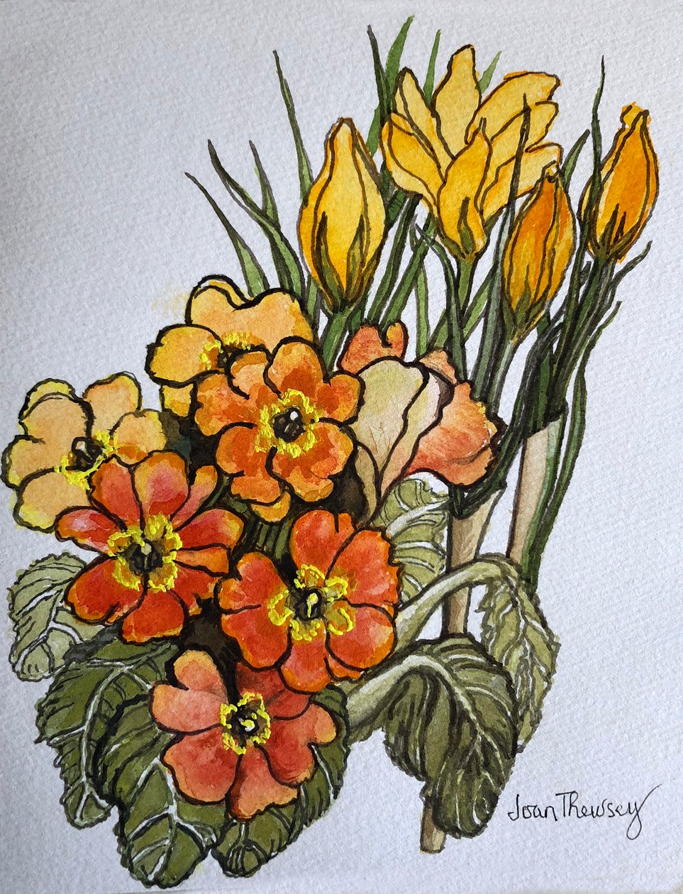 Krokus i pierwiosnki, autorstwa Joan Thewsey