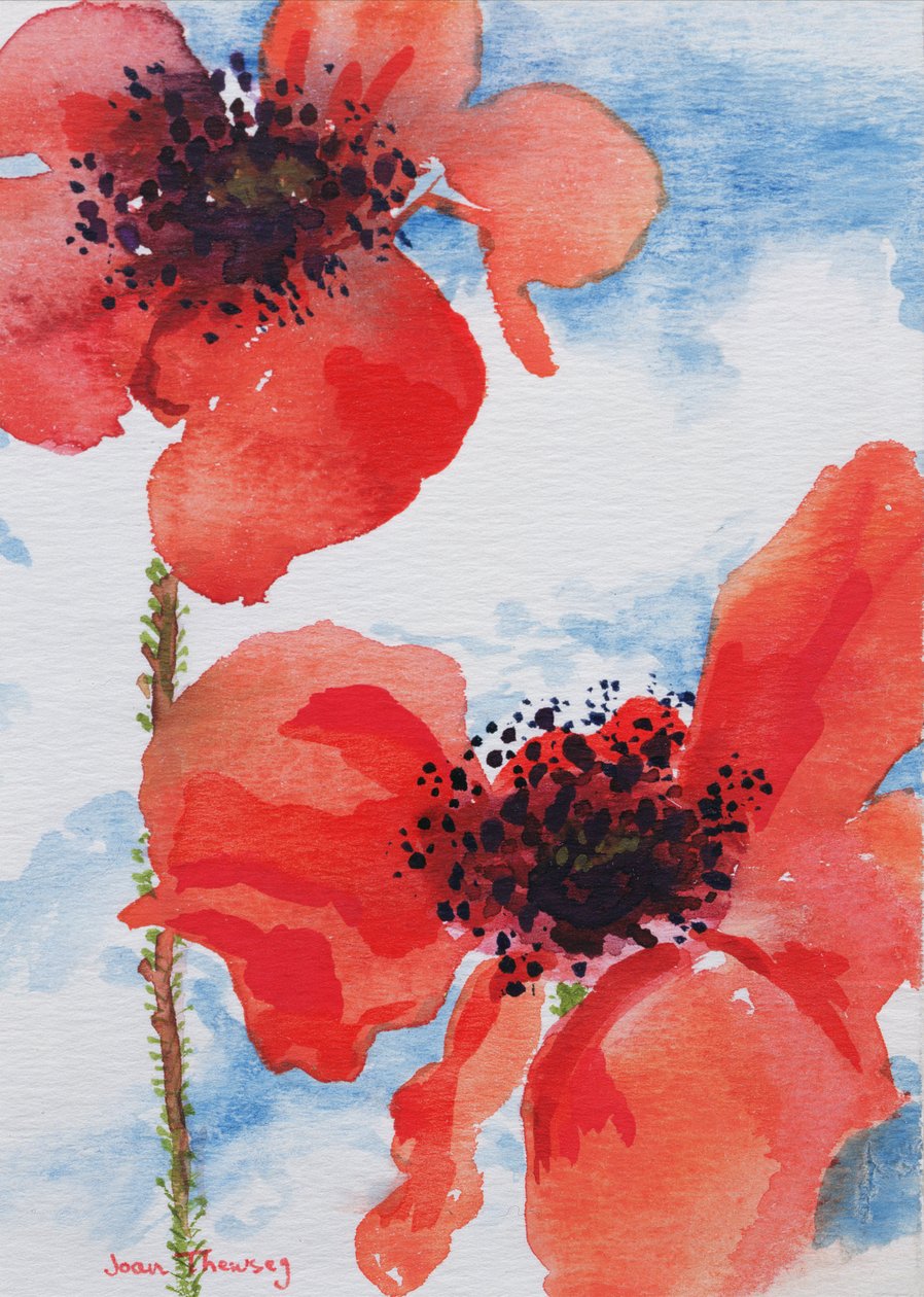 Maki autorstwa Joan Thewsey