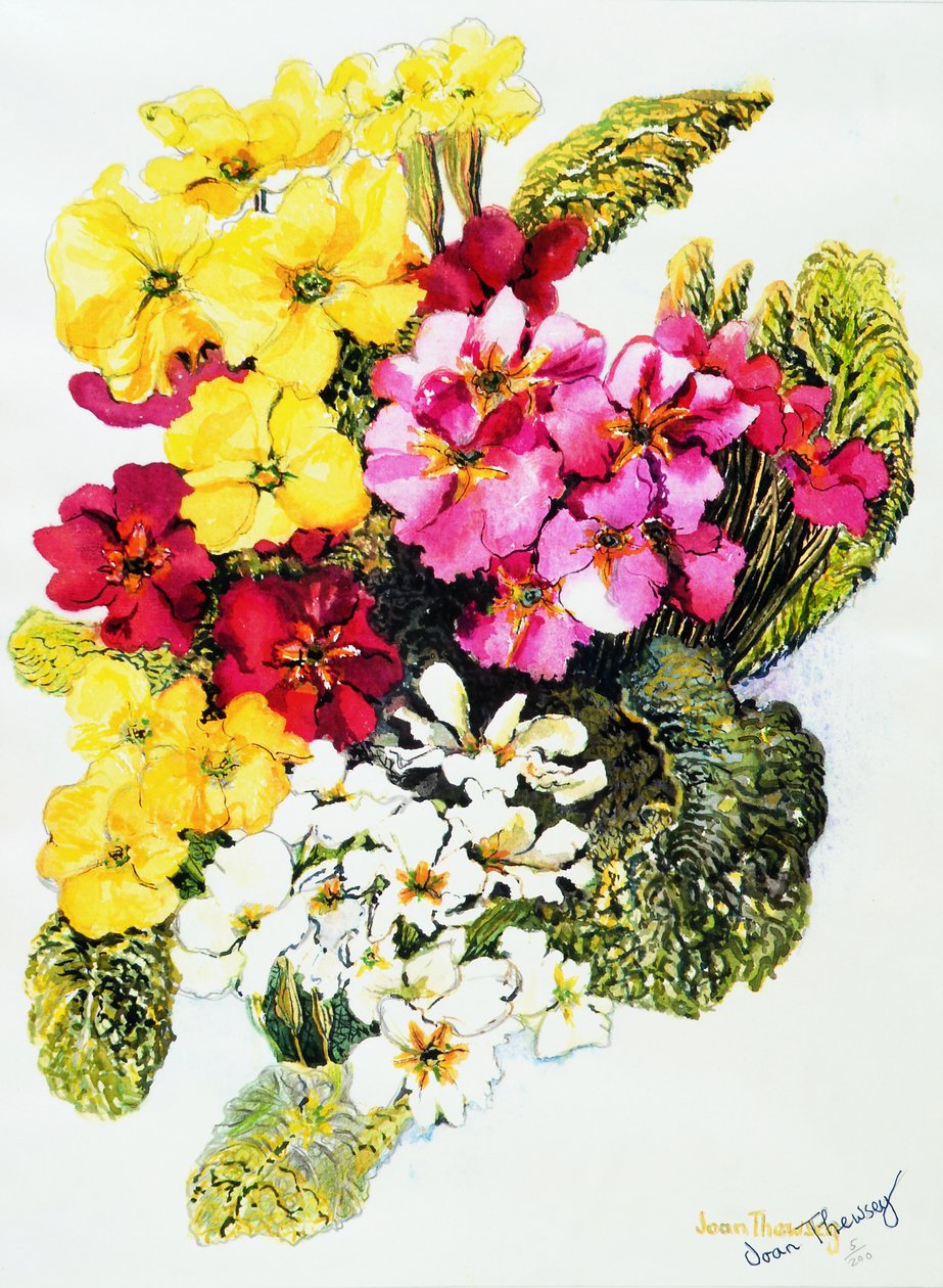 Примроз, Цагаан, Шар, Ягаан, Улаан, 2000, поло autorstwa Joan Thewsey