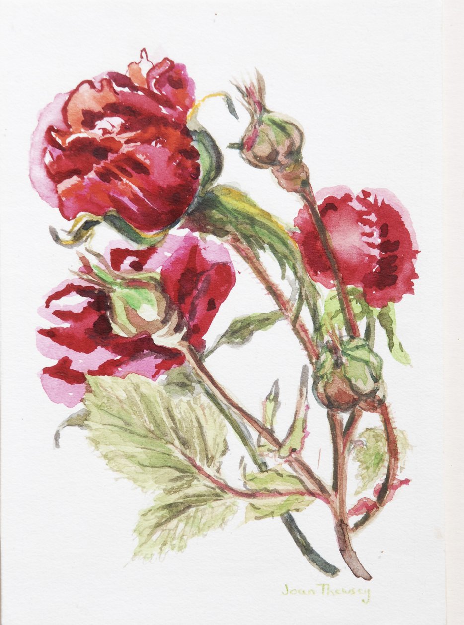 Red Rose Spray,2001, (toaleta na ręcznie robionej tablicy akwarelowej) autorstwa Joan Thewsey