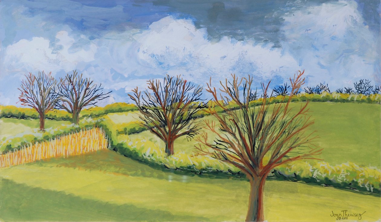Suffolk Wiosna Niebo autorstwa Joan Thewsey