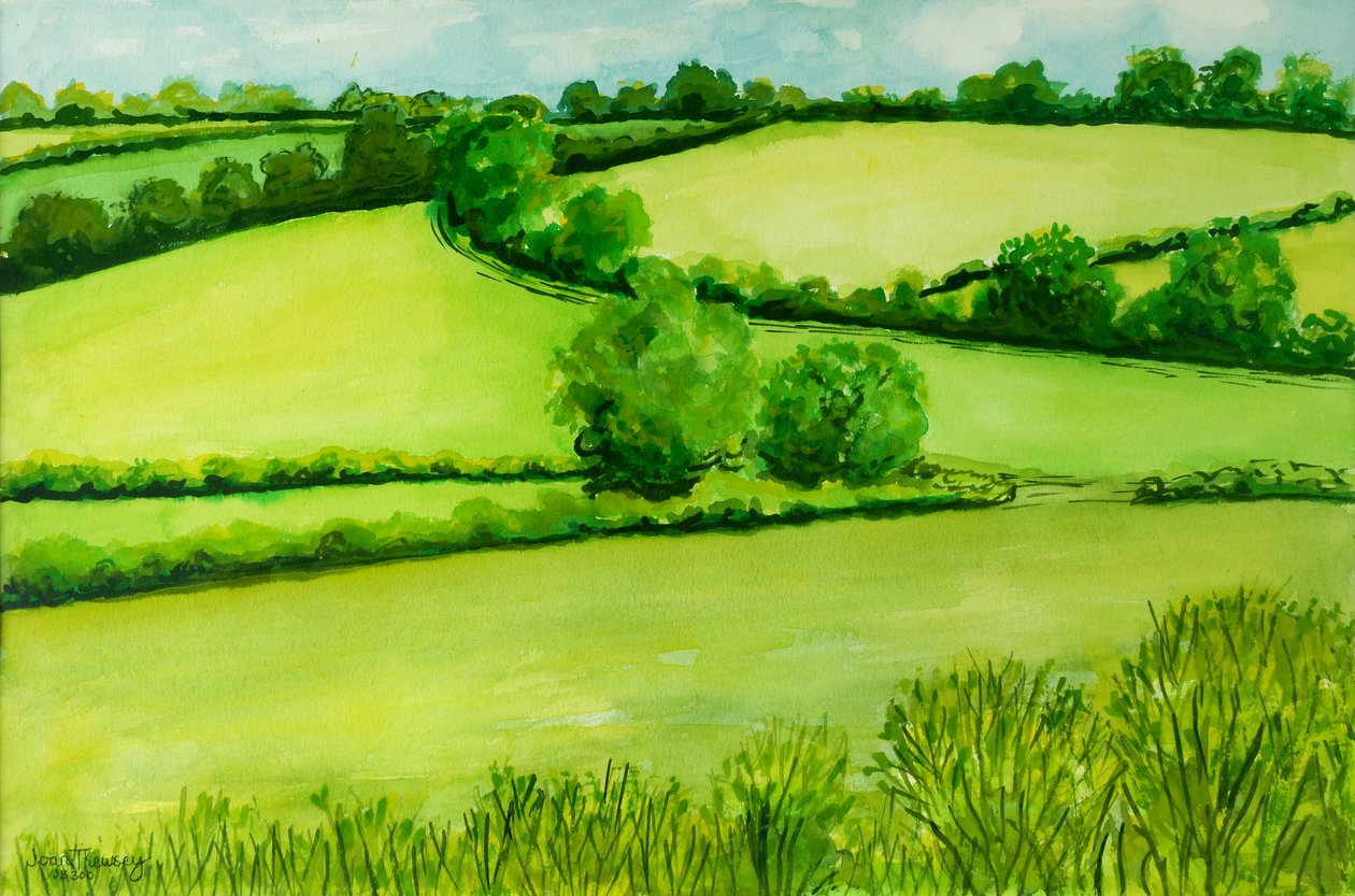 Letni krajobraz, 2010, akwarela autorstwa Joan Thewsey