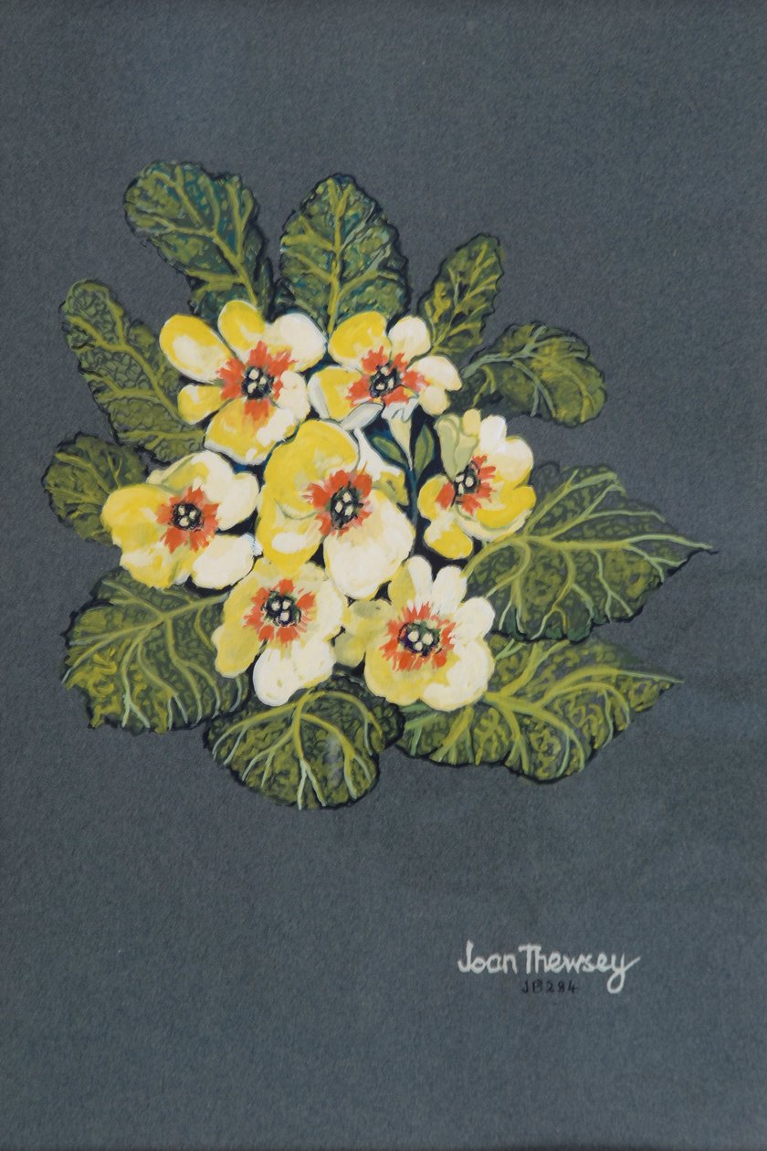 The Yellow Primrose 2012 (gwasz na papierze ingres) autorstwa Joan Thewsey
