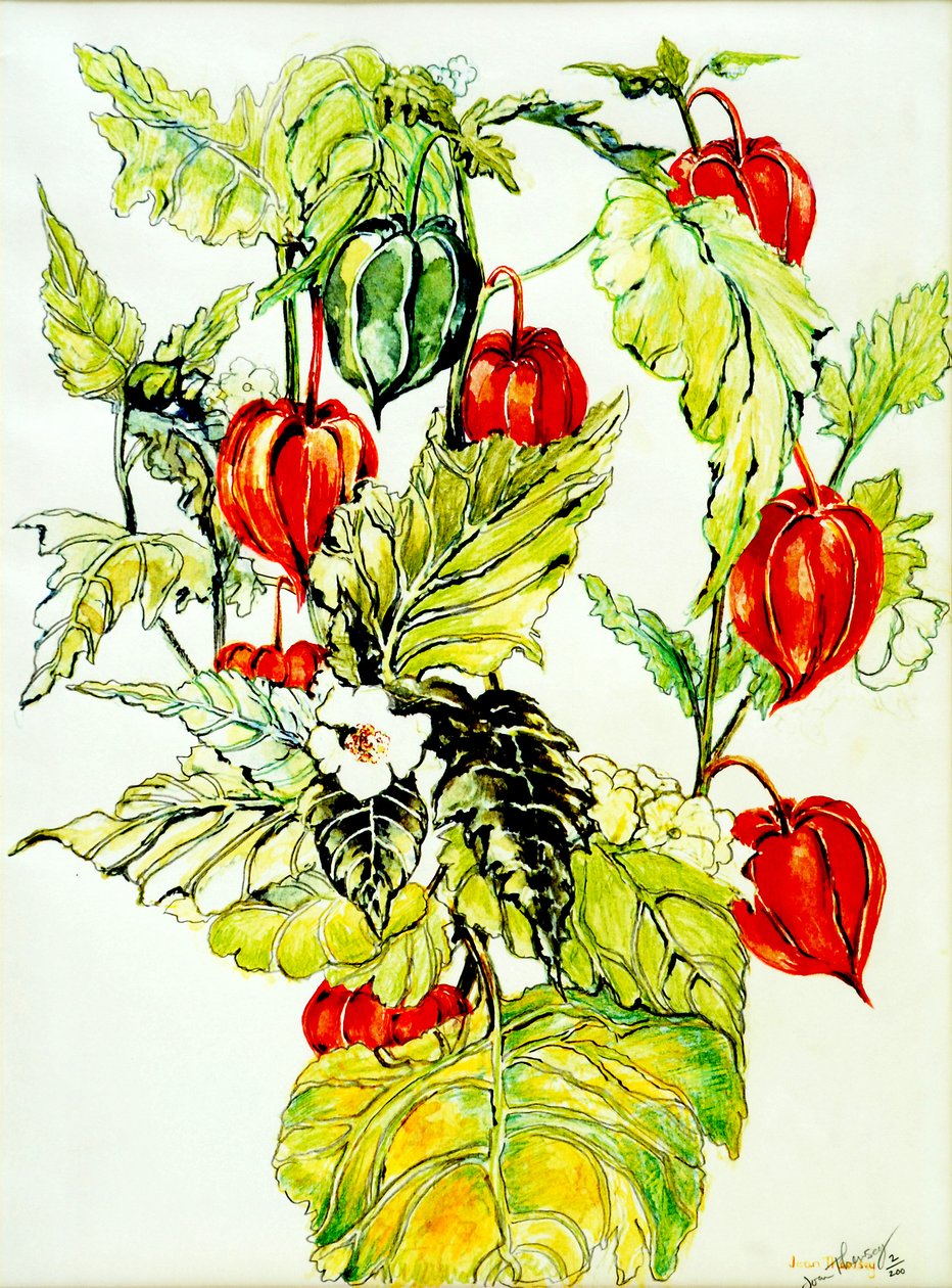 Spray do lampionów chińskich, 2005, (farba wodna) autorstwa Joan Thewsey