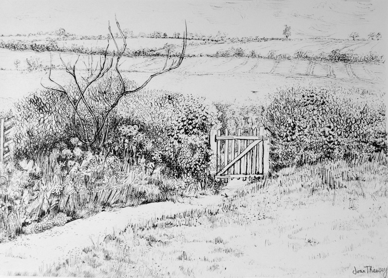 Cottage Gate and View Beyond, 2015, (pióro i atrament) autorstwa Joan Thewsey