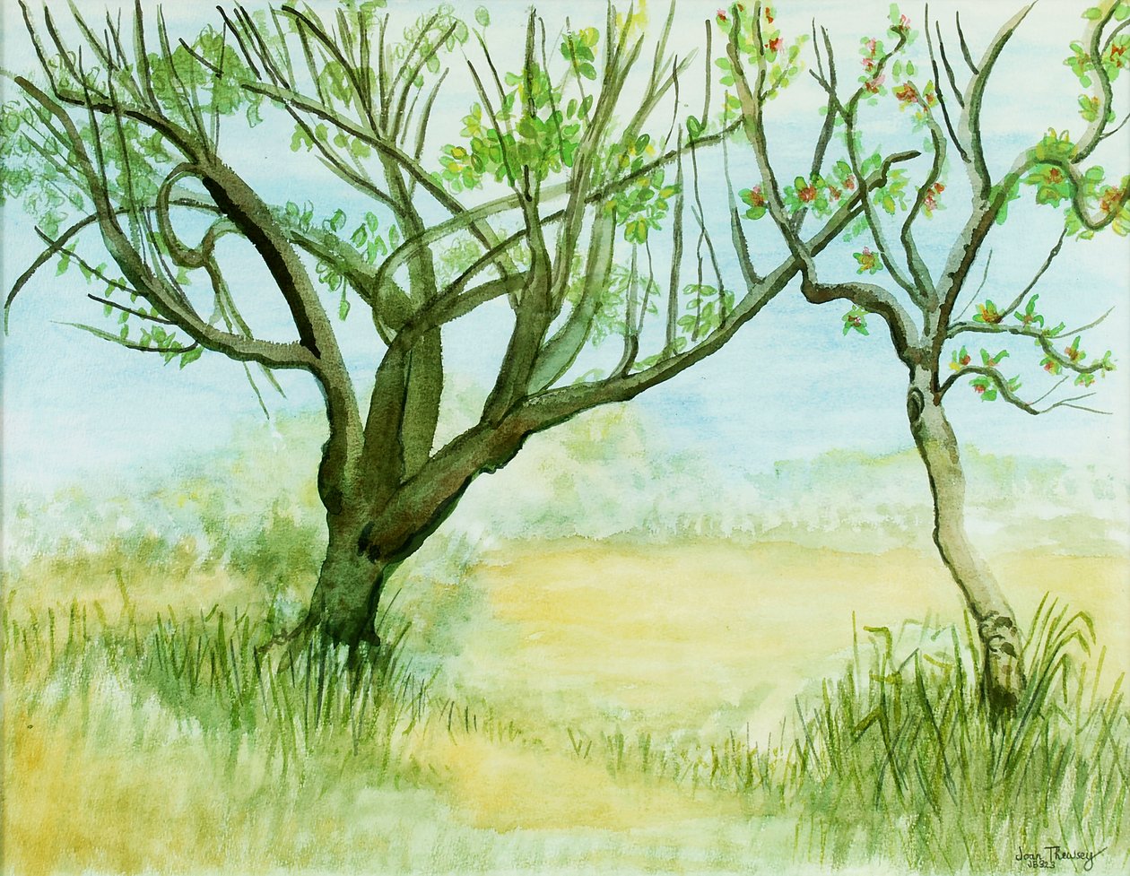 Wczesnowiosenny krajobraz, z dwoma drzewami, 2009, autorstwa Joan Thewsey