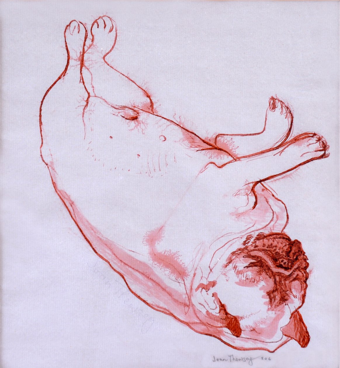 Hogarth Sleeping, 2005, (tusz na mokrym papierze) autorstwa Joan Thewsey