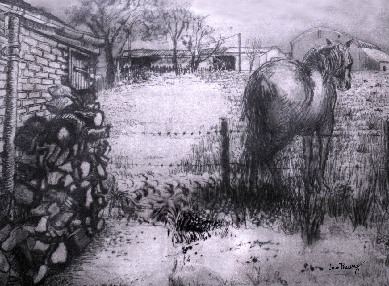 Koń odpoczywający nogę, 2000, (atrament na mokrym papierze ingresowym) autorstwa Joan Thewsey