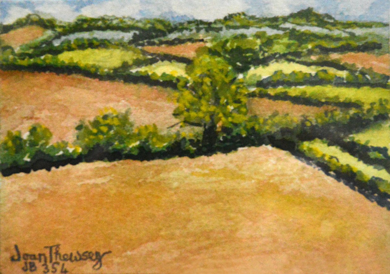 Krajobraz Little Suffolk, 2000 autorstwa Joan Thewsey