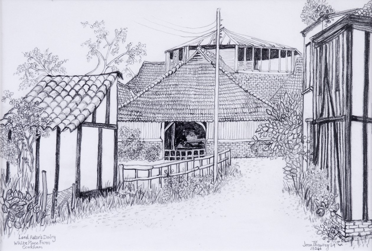 Nabiał Lord Astors, gospodarstwo White Place, Cookham 2012, ołówek autorstwa Joan Thewsey