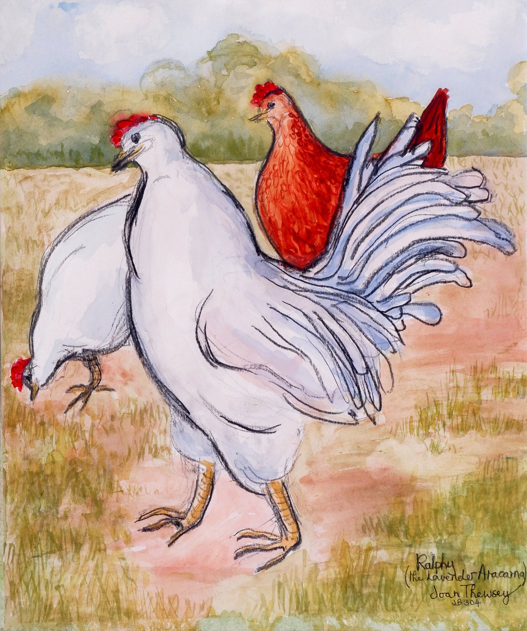 Ralfy, Kogucik ,2005,(ołówek i akwarela) autorstwa Joan Thewsey