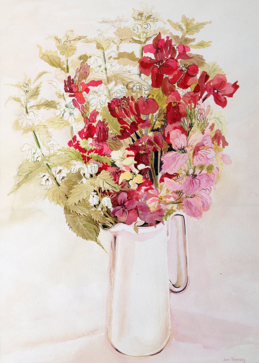 Martwa natura z Deadnettles i Wallflowers (akwarela na papierze) autorstwa Joan Thewsey