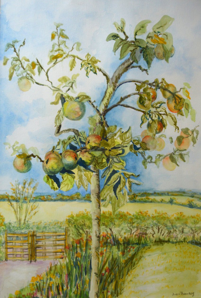 Jabłoń, 2001 autorstwa Joan Thewsey