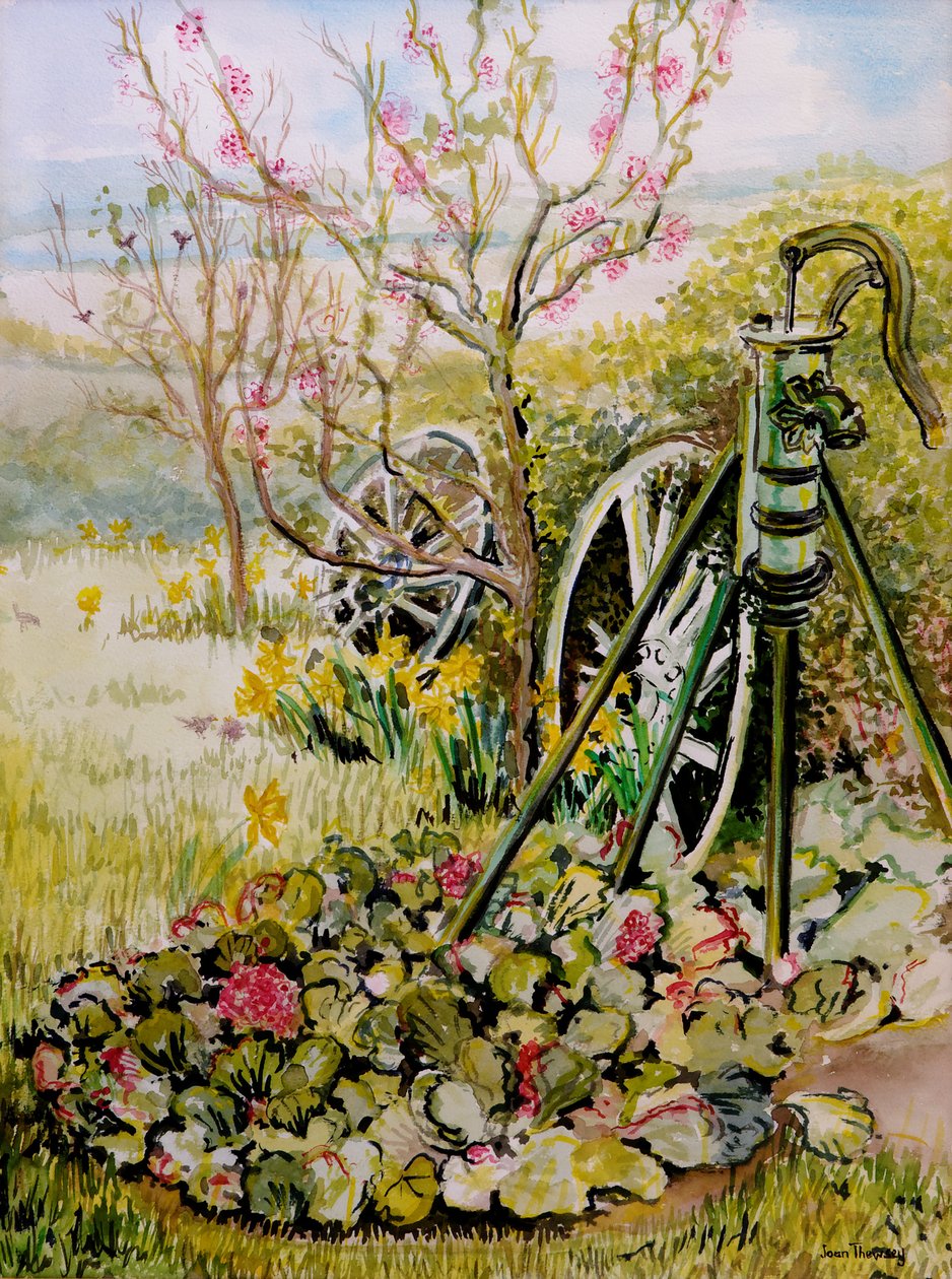 Pompa ogrodowa, 2010, akwarela autorstwa Joan Thewsey