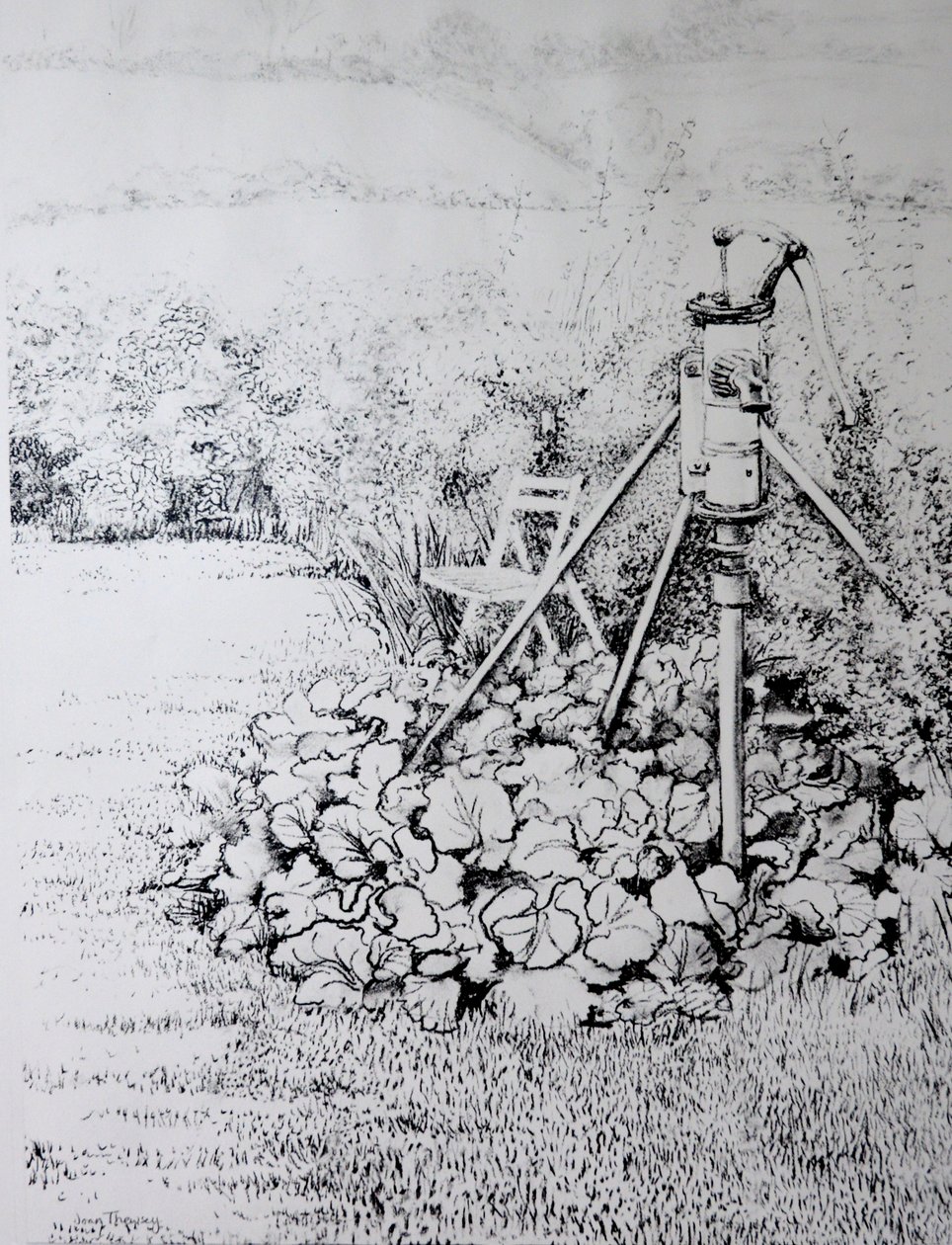 Pompa ogrodowa, 1973 (węgiel) autorstwa Joan Thewsey