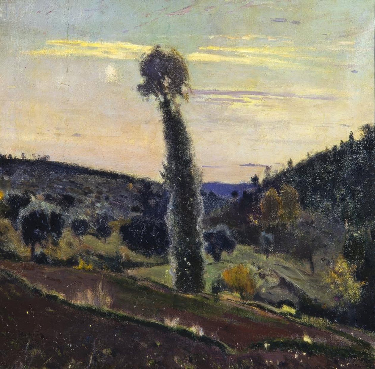 L’Alber autorstwa Joaquim Mir i Trinxet