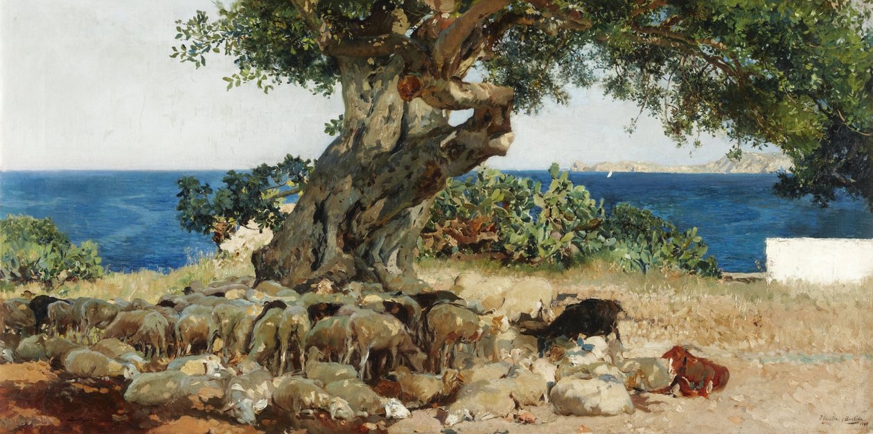Algarrobo autorstwa Joaquín Sorolla