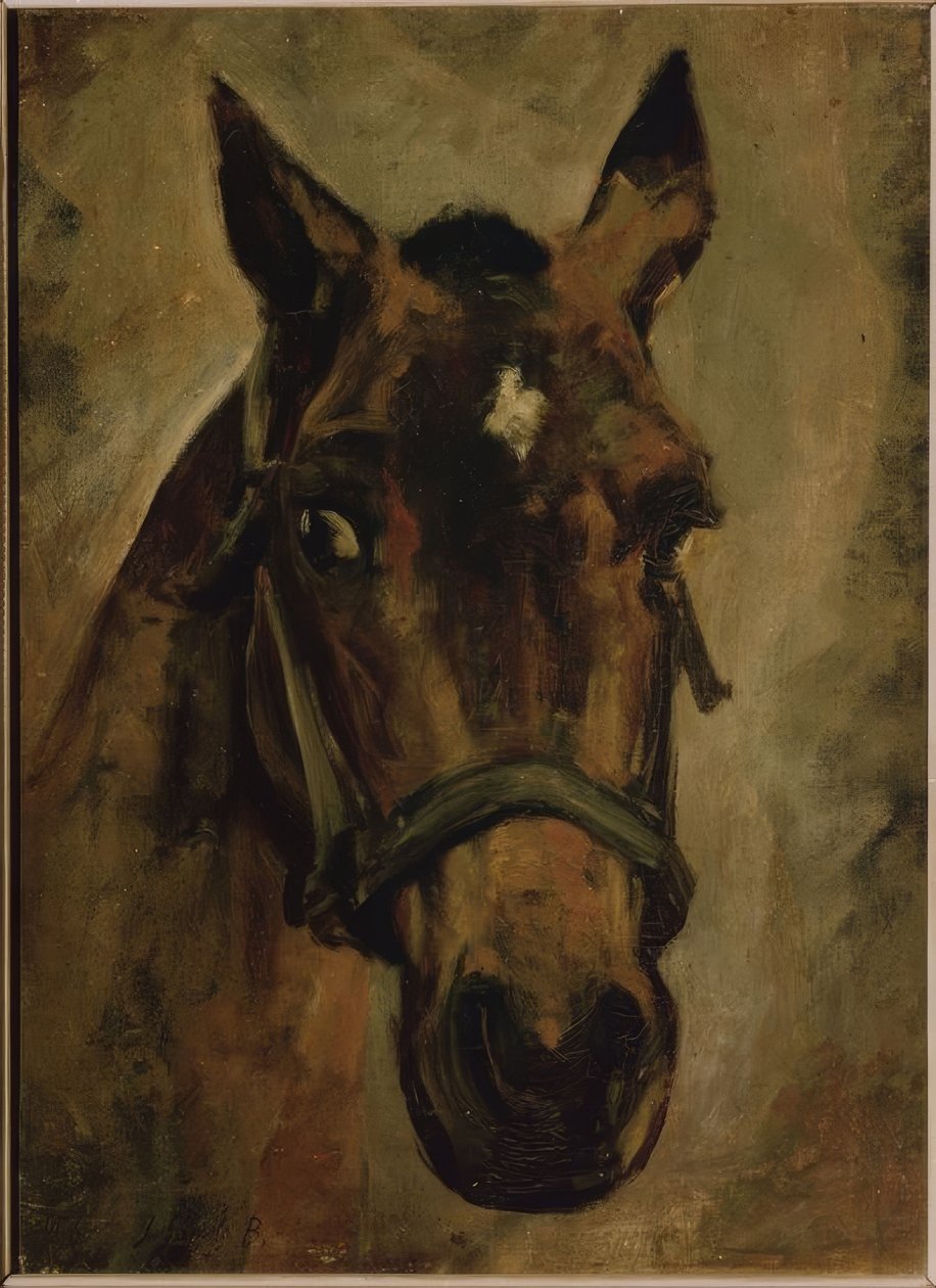 CABEZA DE CABALLO. Artysta: JOAQUIN SOROLLA. Lokalizacja: PRIVATE COLLECTION, MADRYT, HISZPANIA autorstwa Joaquín Sorolla