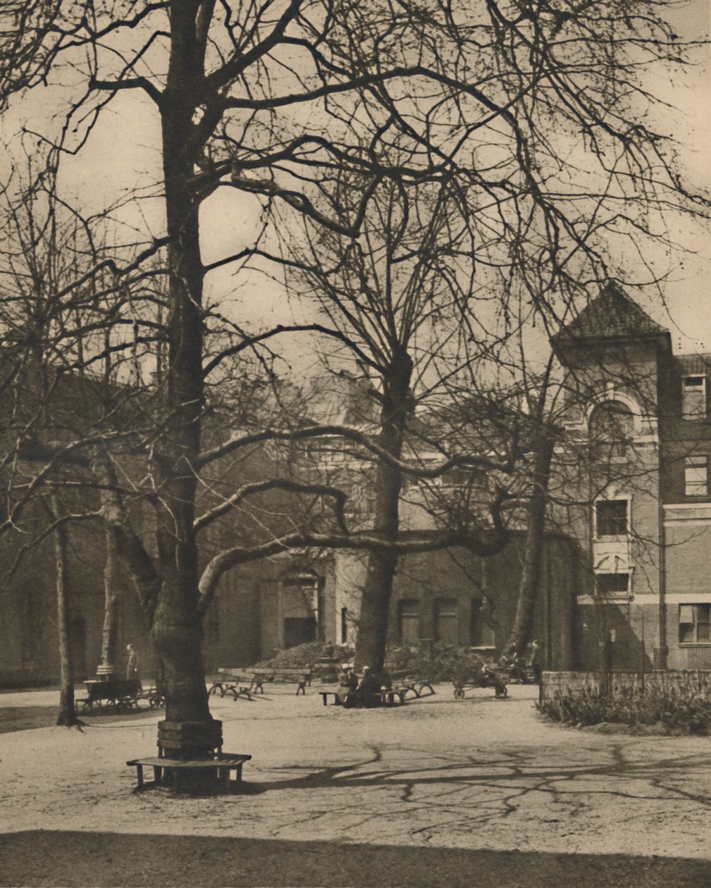 Pod wiązami na dziedzińcu szpitala Middlesex, ok. 1935. autorstwa Joel