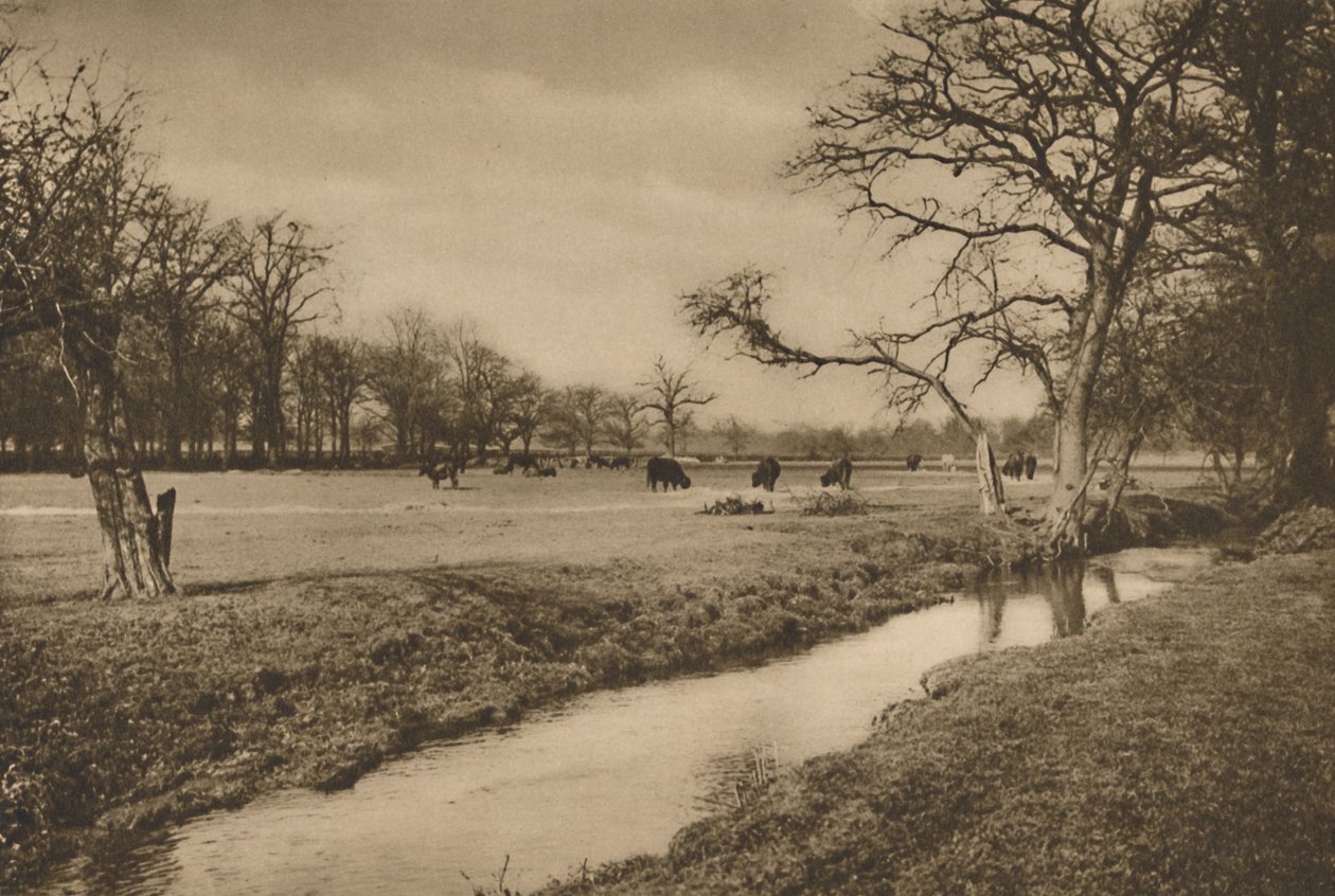 Gdzie Beverley Brook wije się przez Królewski Park Myśliwski w Richmond, c1935. autorstwa Joel