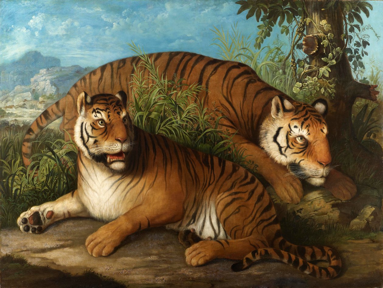 Królewskie Tygrysy Bengalskie autorstwa Johan Wenzel Peter