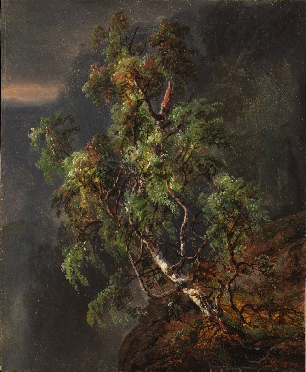 Brzoza podczas burzy autorstwa Johan Christian Dahl