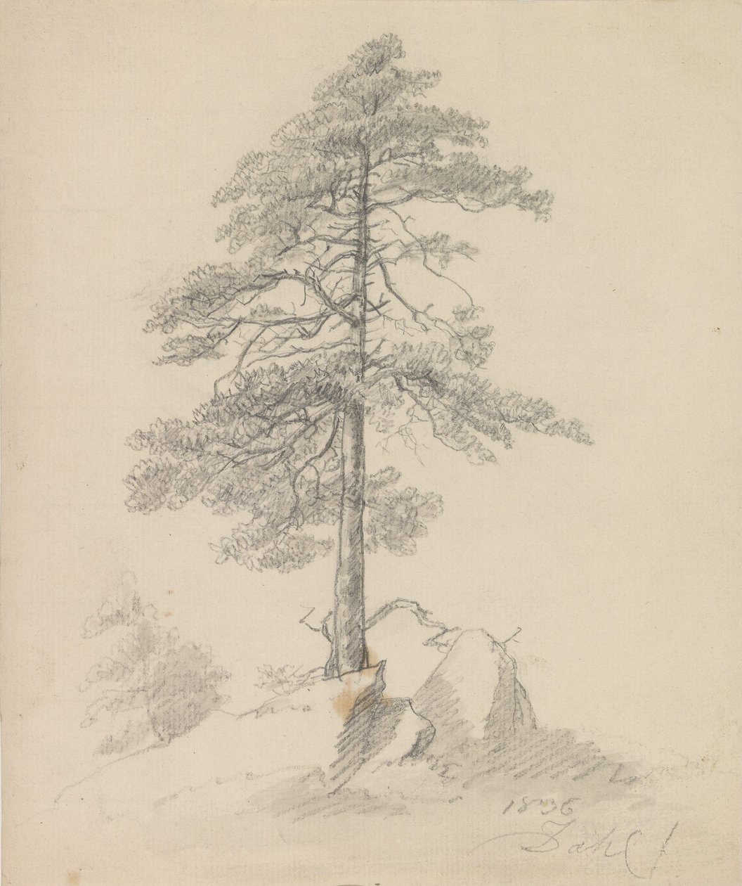 Sosny i skały autorstwa Johan Christian Dahl