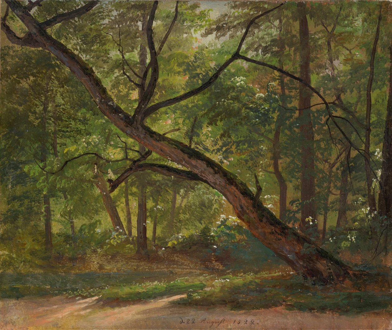 Widok w Wielkim Ogrodzie koło Drezna autorstwa Johan Christian Dahl