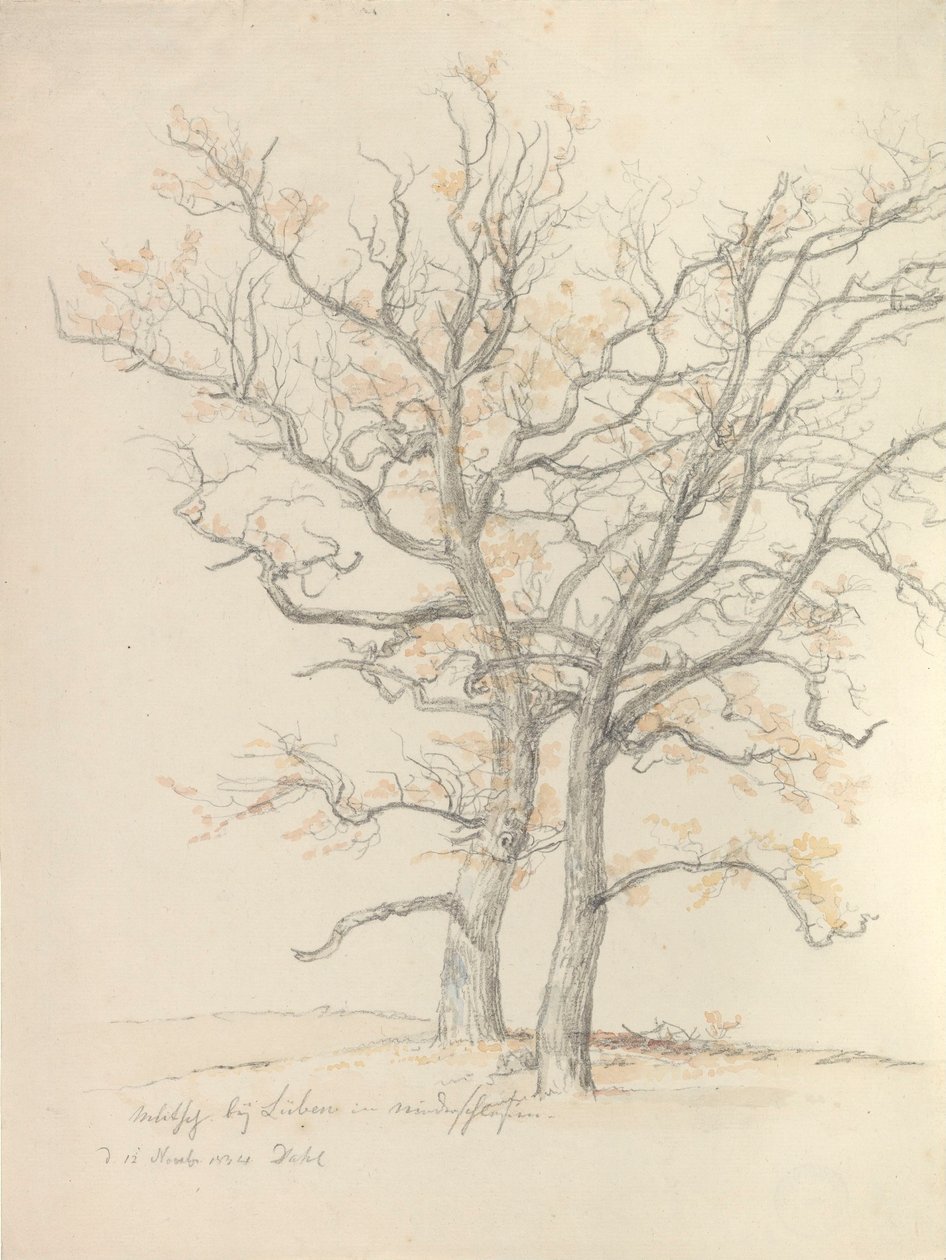 Dwa dęby autorstwa Johan Christian Dahl