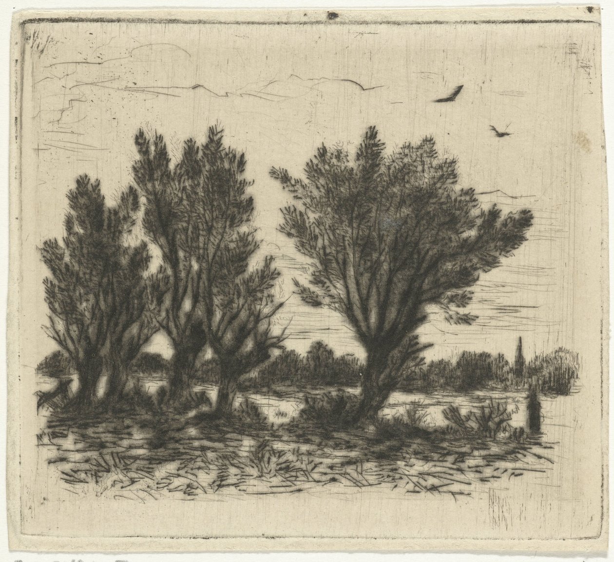 rząd wierzby autorstwa Johan Frederik Croockewit