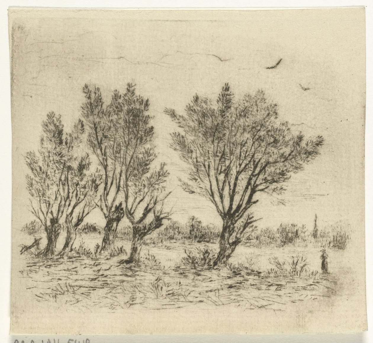 rząd wierzby autorstwa Johan Frederik Croockewit