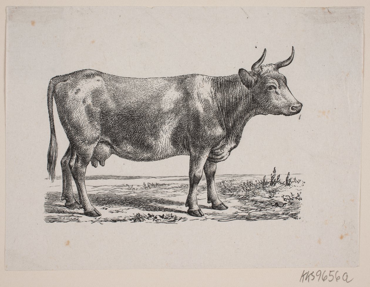 nie sądzę autorstwa Johan Frederik Rosenstand