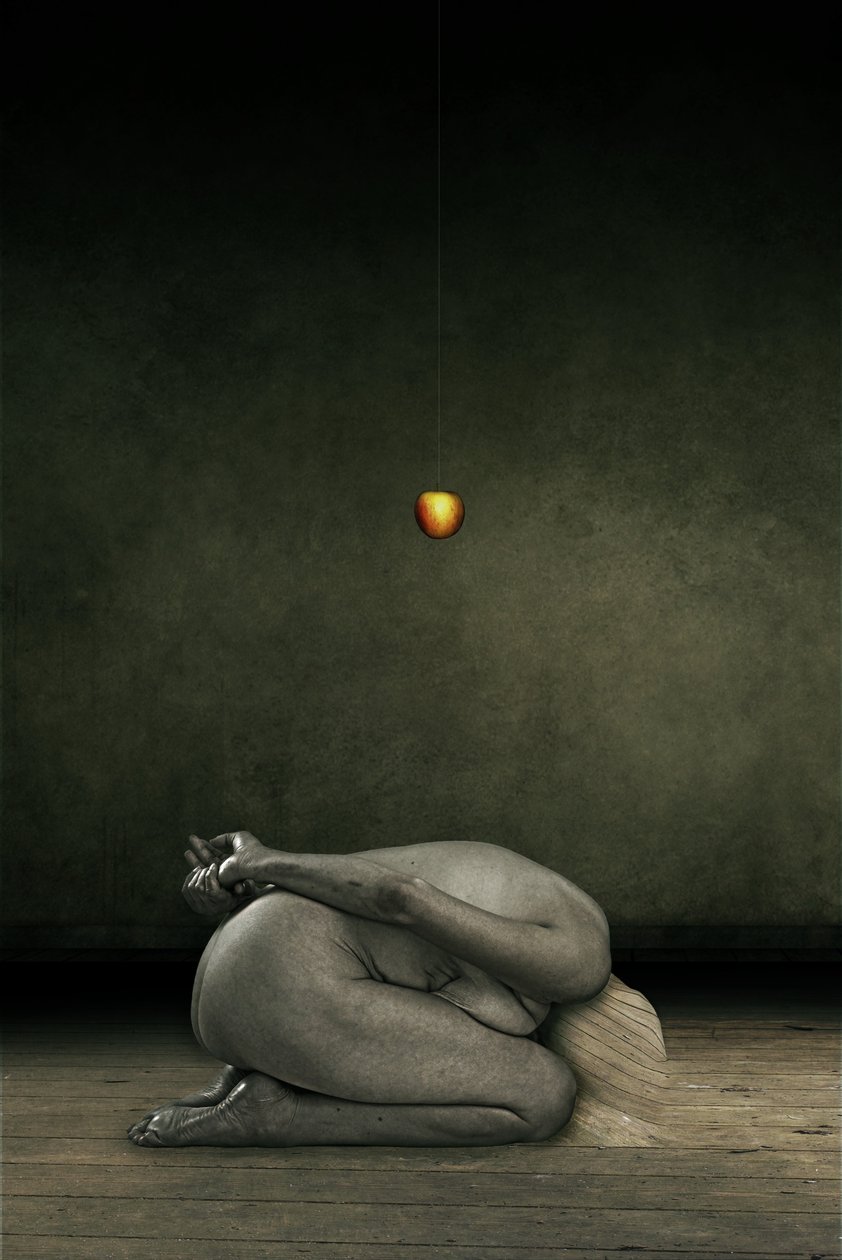 Ukryj siebie, 2013 (obróbka zdjęć) autorstwa Johan Lilja