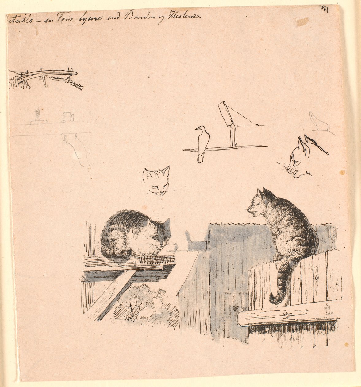 Dwa koty. F.o. badania głowy kota, ptaka, kociego ucha i pracy belki. Ilustracja do "Bajek dla dzieci" Kaalunda. Zobacz komentarz z katalogu arkuszy. autorstwa Johan Thomas Lundbye