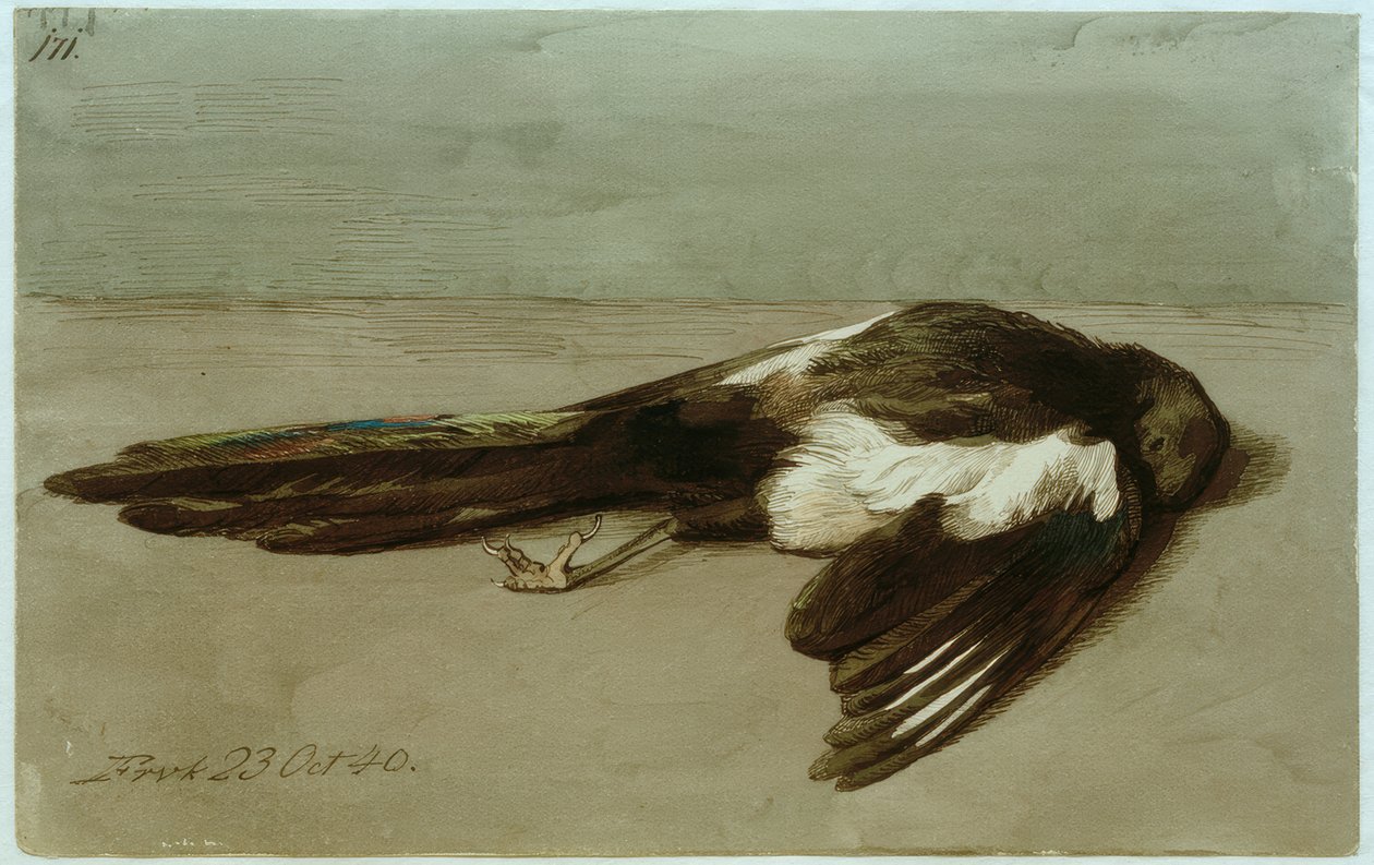 Martwa sroka autorstwa Johan Thomas Lundbye