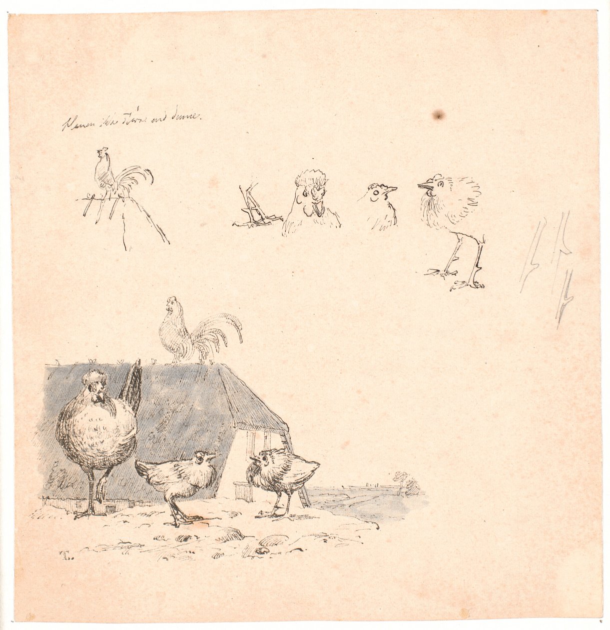 Koguty. Ilustracja do "Bajek dla dzieci" Kaalunda. Zobacz komentarz z katalogu arkuszy. autorstwa Johan Thomas Lundbye