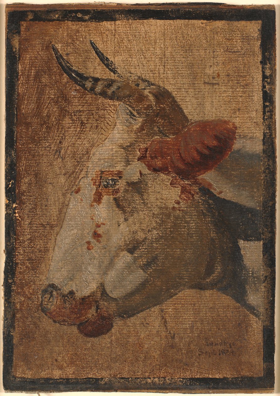 Głowa krowy z białymi cętkami, profil z lewej strony autorstwa Johan Thomas Lundbye