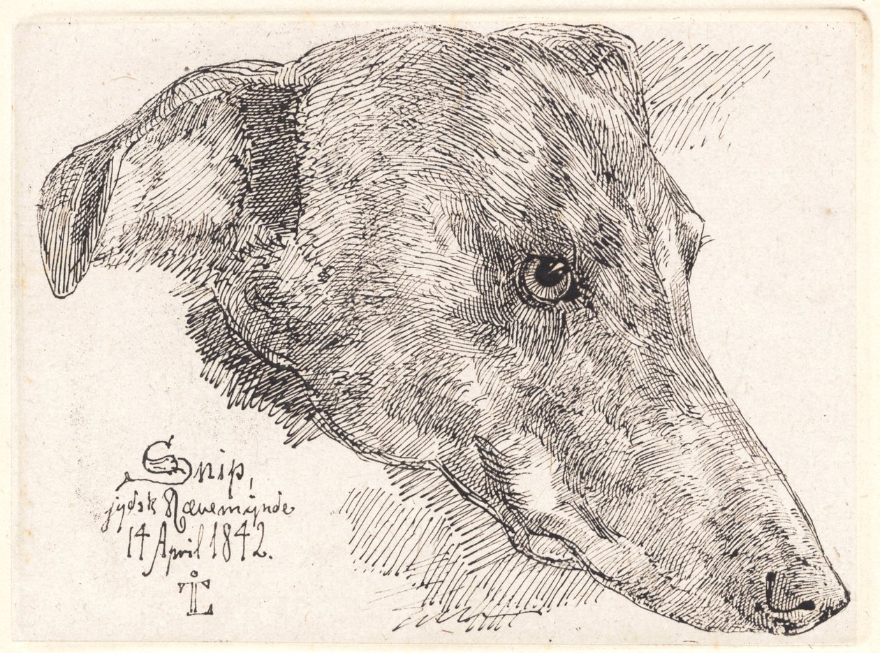 Hundehoved, Snip autorstwa Johan Thomas Lundbye