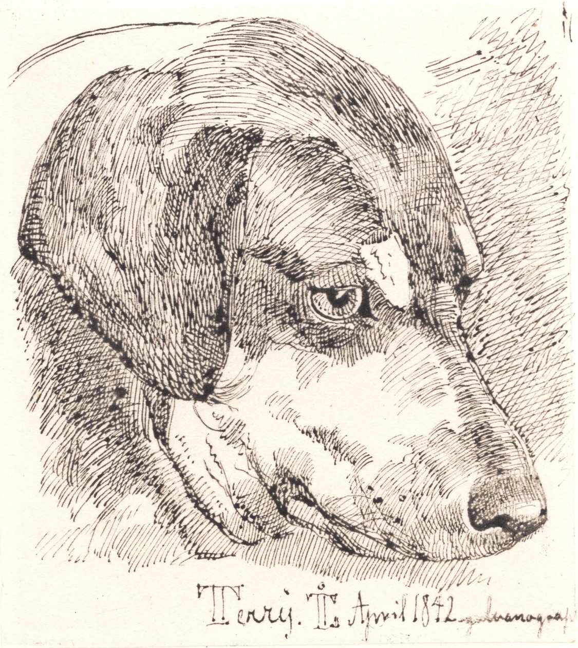 Hundehoved, Terry autorstwa Johan Thomas Lundbye