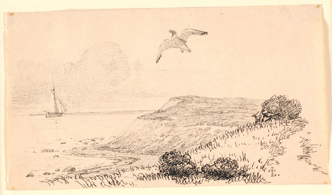 Mewa. Ilustracja do "Bajek dla dzieci" Kaalunda. Zobacz komentarz z katalogu arkuszy. autorstwa Johan Thomas Lundbye