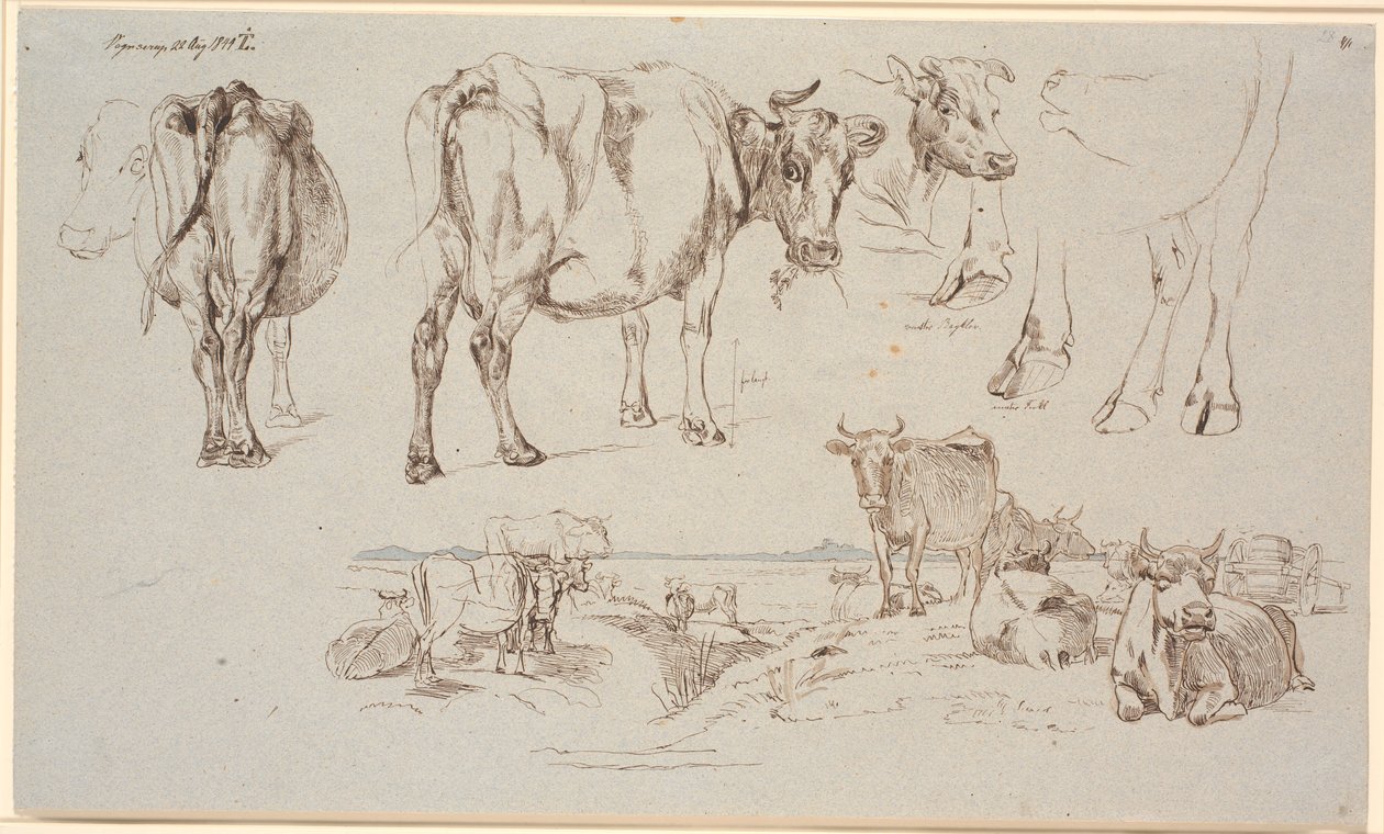 Czasopismo Study z Vognserup. Powyższe badania krów, f.n. krajobraz ze stojącymi i leżącymi krowami autorstwa Johan Thomas Lundbye
