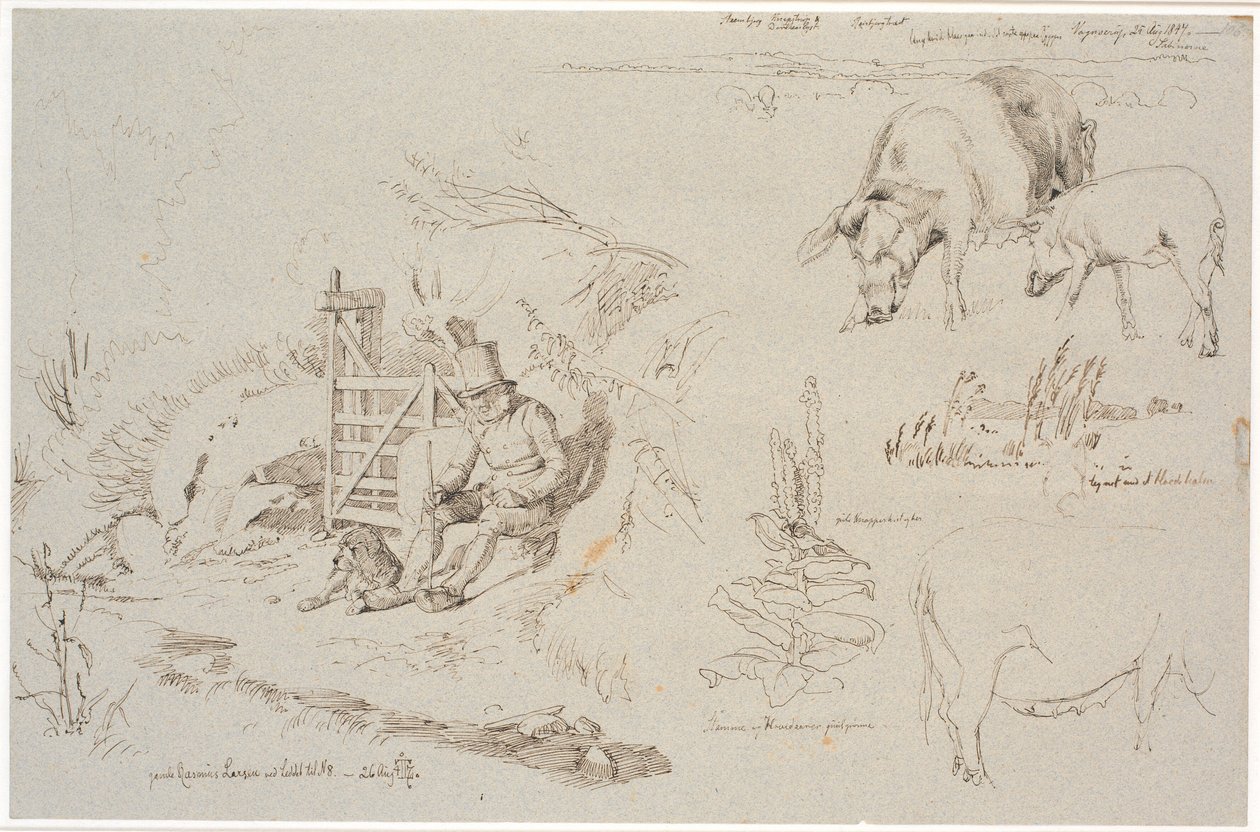 Czasopismo Study z Vognserup. T. v. pasterz (stary Rasmus Larsen) siedzący z psem przy stawie. Narodziny studium krajobrazu z nazwami miejscowości. W tym dwie świnie. T.m.f. badanie trzcin w jeziorze. W tym królewska roślina świec i badanie lochy autorstwa Johan Thomas Lundbye